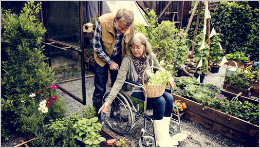 Social Security Disability