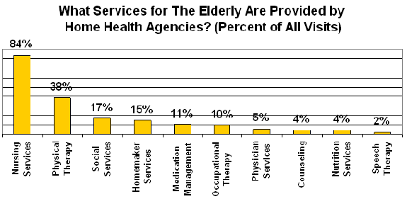 What Services for the Elderly are provided by Home Health Agencies